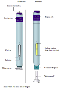 image1.png